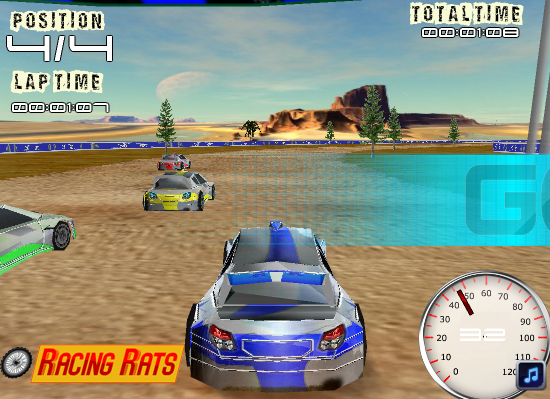 Rally Final Contest