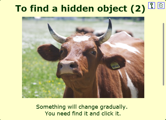 To find a hidden object (2)