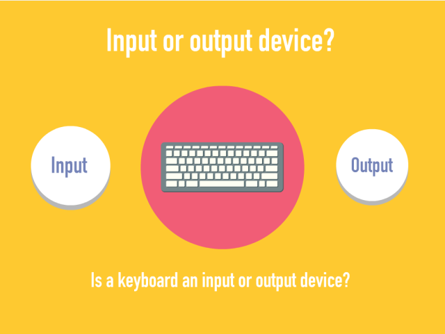 Computer Input & Output Devices