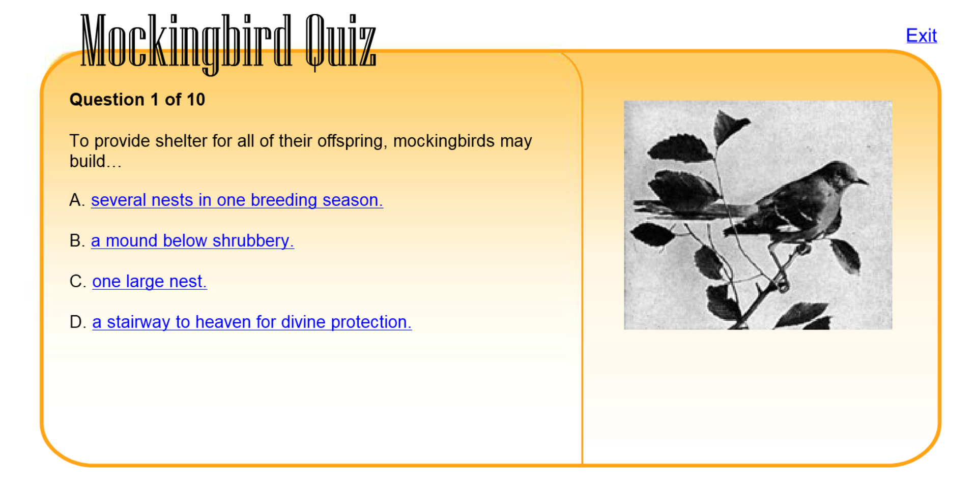 Mockingbird Quiz