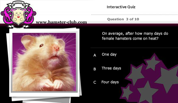 Hamster Quiz