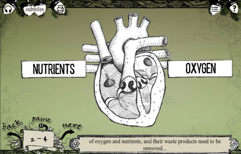 Heart Disease and Circulation