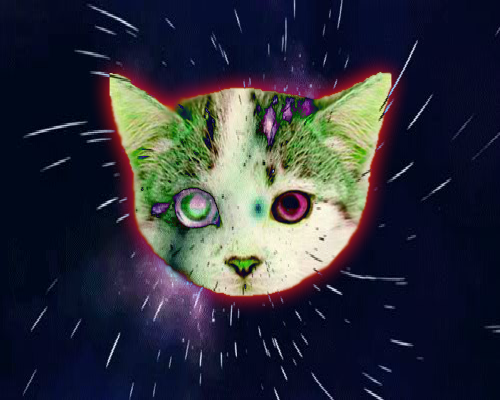 SPACAT