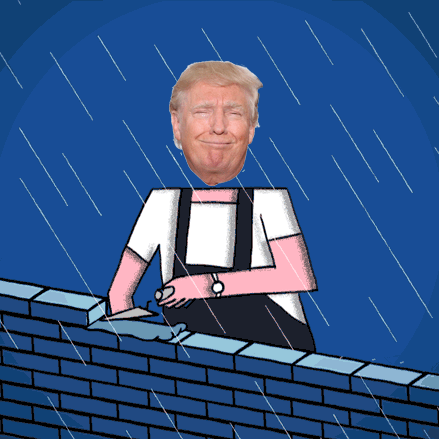 Build a Wall