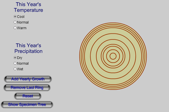 "Build a Tree" Dendrochronology Activity