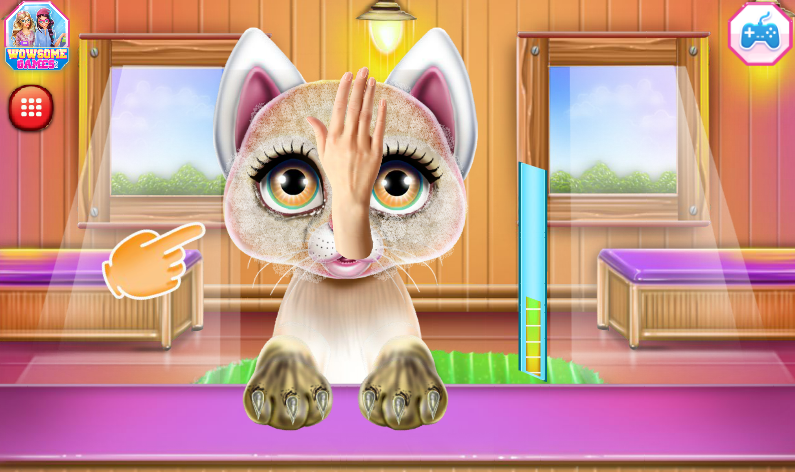 Kitty Ballerina: Care And Dressup