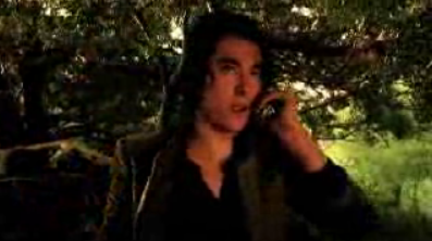 Leon and the Wolf Parody