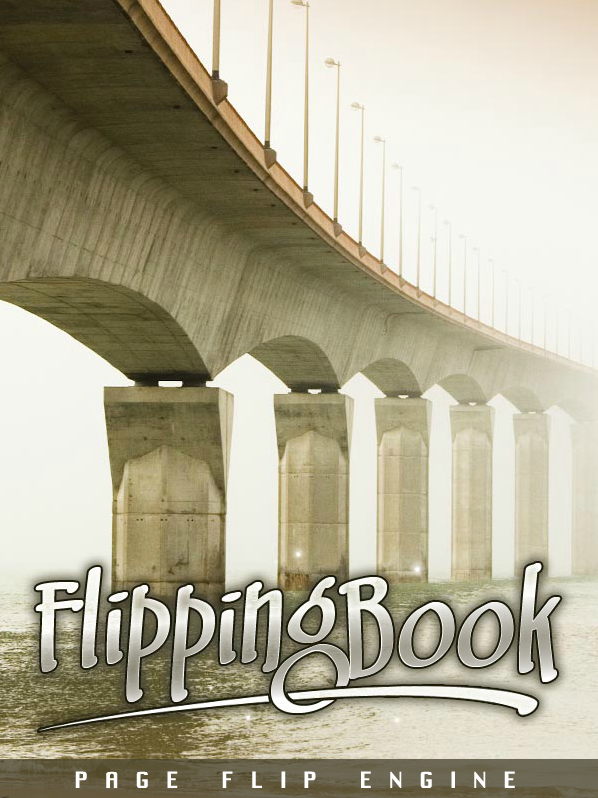 Flipping Book