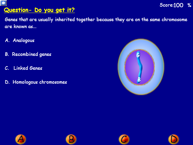 Snurfle Meiosis and Genetics 2: Diversity and Dihybrid Crosses