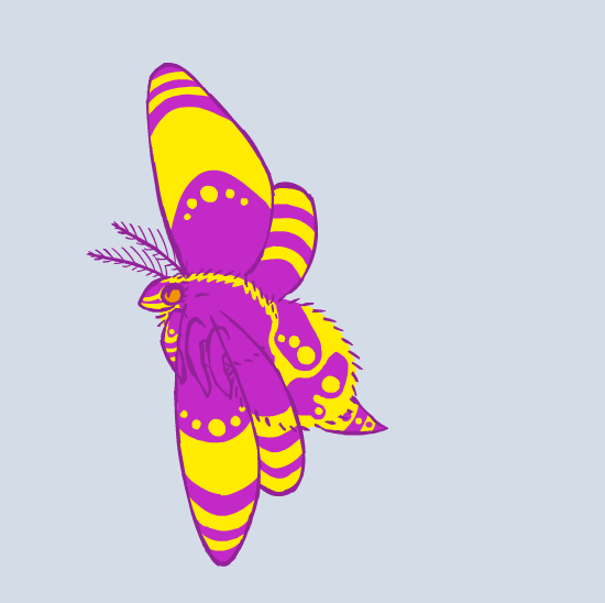 Hovering Morphing Moth Flash Animation