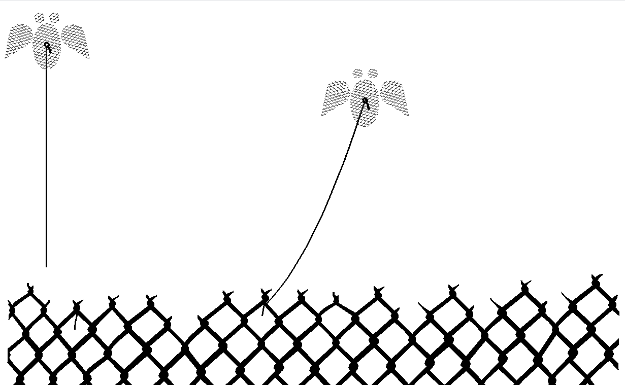 Nice to Have You Around