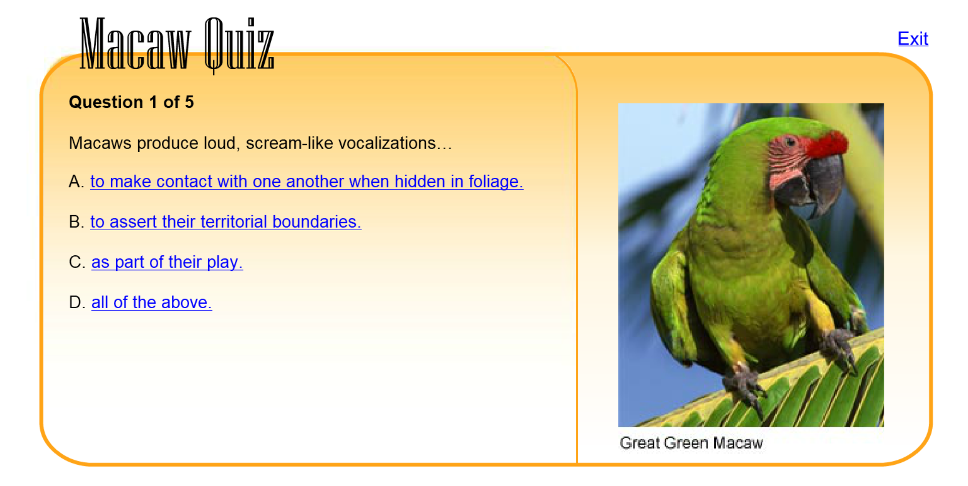 Macaw Quiz