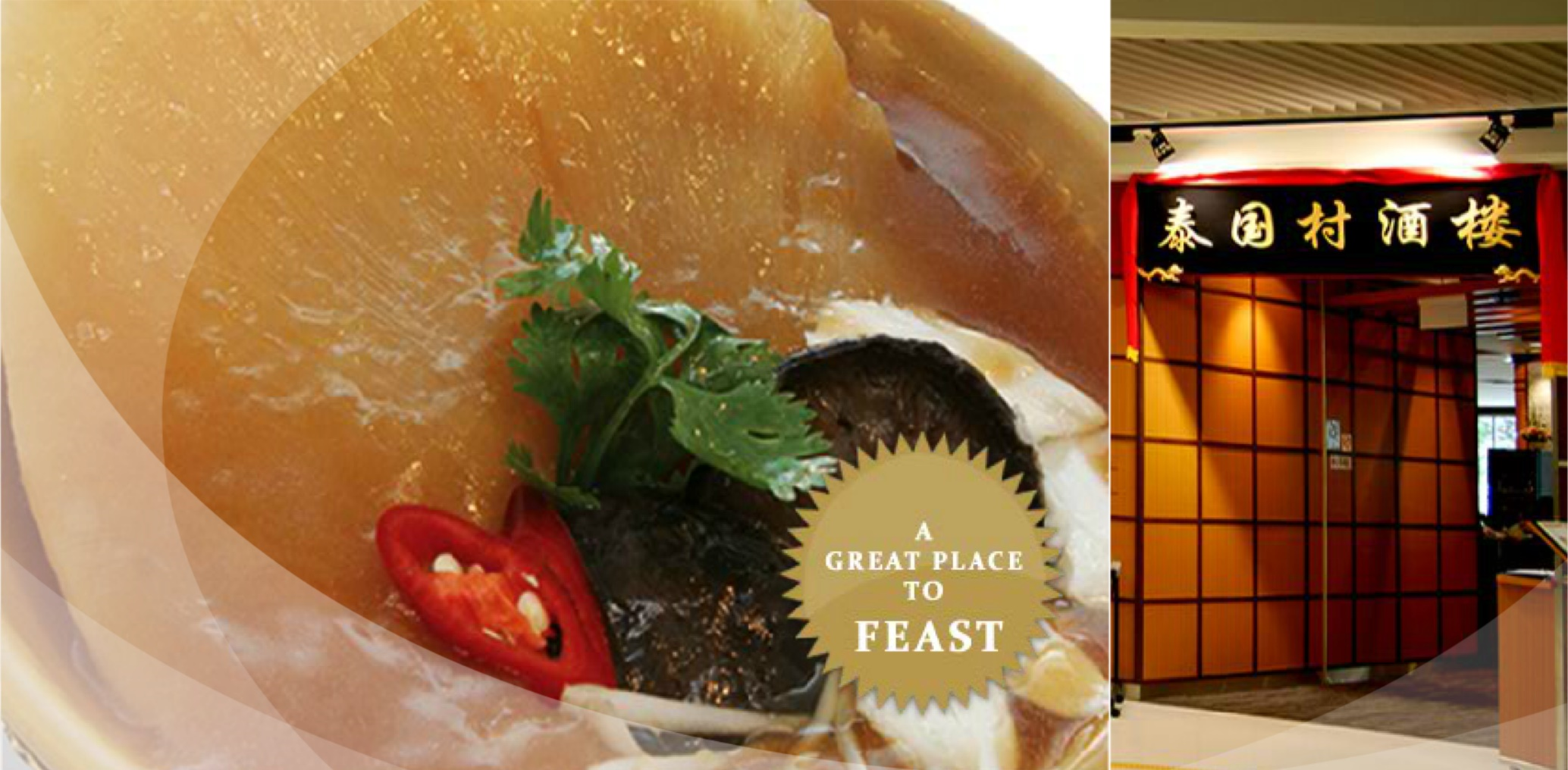 Thai Village Restaurants Website Banner (Singapore)