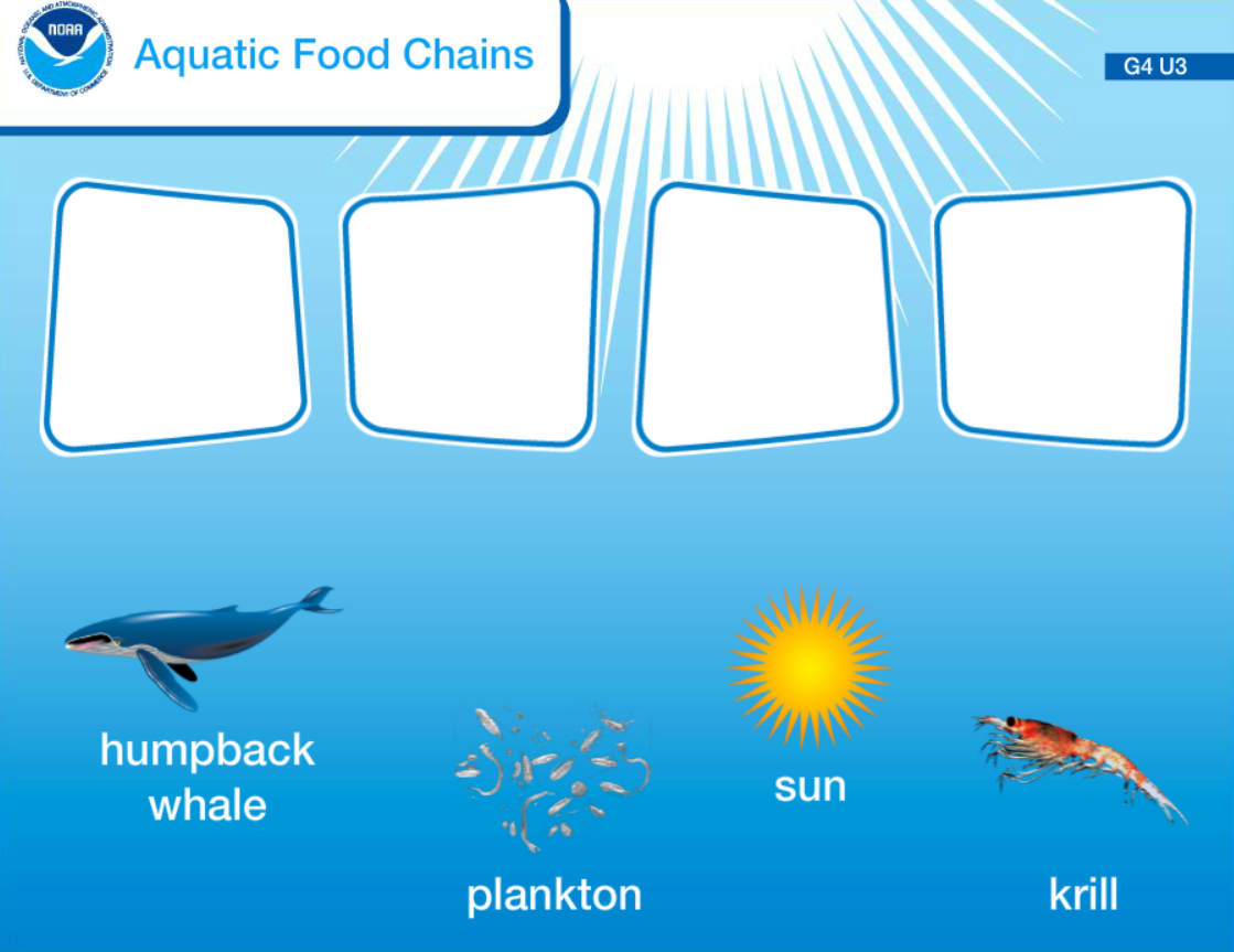 Aquatic Food Chains