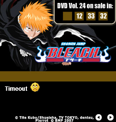 Bleach DVD Vol. 24 Banner