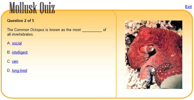 Mollusk Quiz