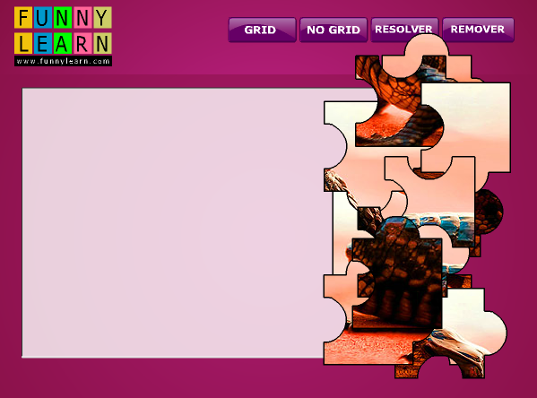 Baby crocodile puzzle