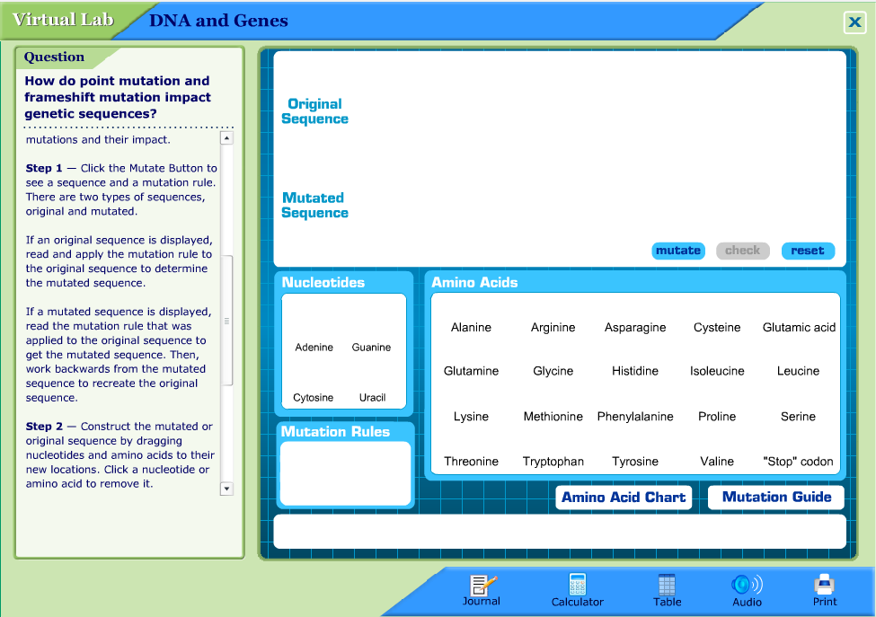 DNA and Genes