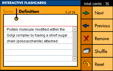 Interactive Flashcards