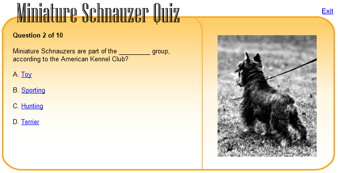 Miniature Schnauzer Quiz