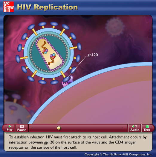 HIV Replication