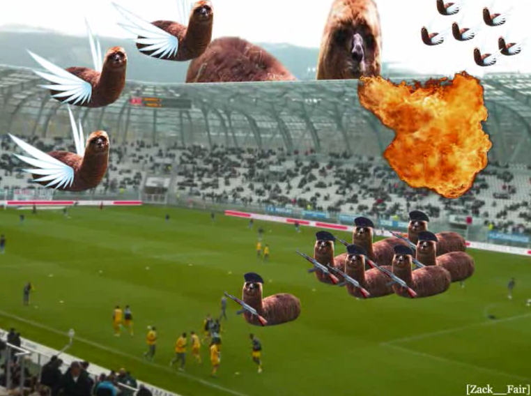 Les Lamasticots envahissent le stade de Nantes