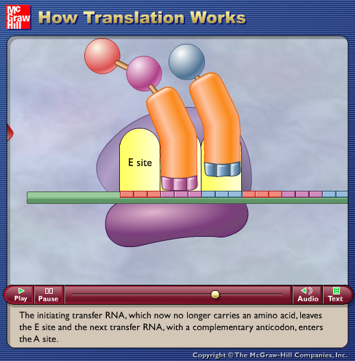 How Translation Works