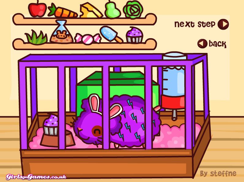 My Own Hamster Adopt and Play!