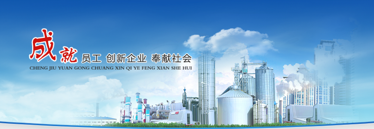 重庆洪峰工业设备安装有限公司 Banner