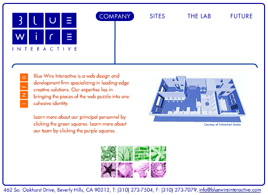 Blue Wire Interactive Website 2000