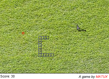 The Invisible Snake In The Grass