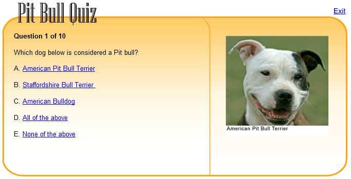 Pit Bull Quiz