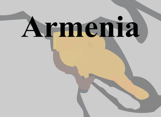 The Armenian Genocide