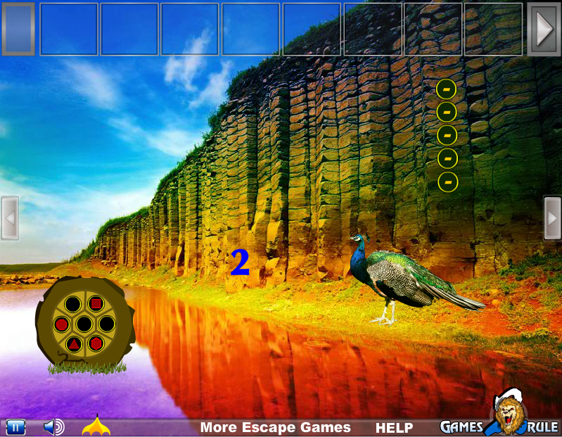 Cute Little Peacock Rescue