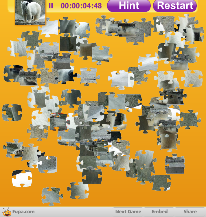 Polar Bear Jigsaw