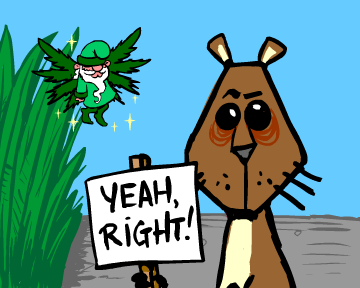 Why a Squirrel Shouldn't Smoke Pot