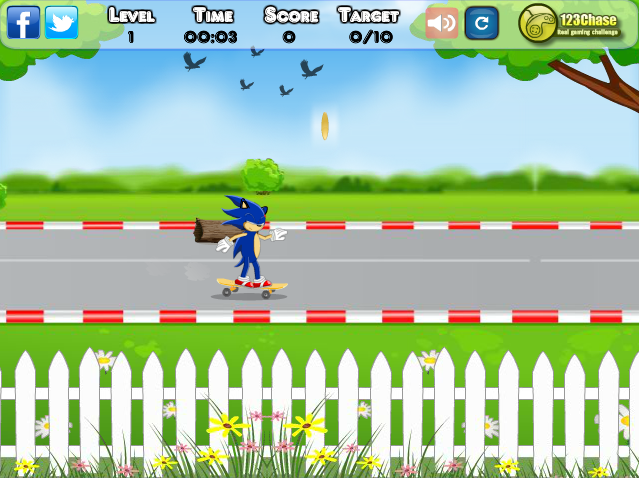 Sonic Skating