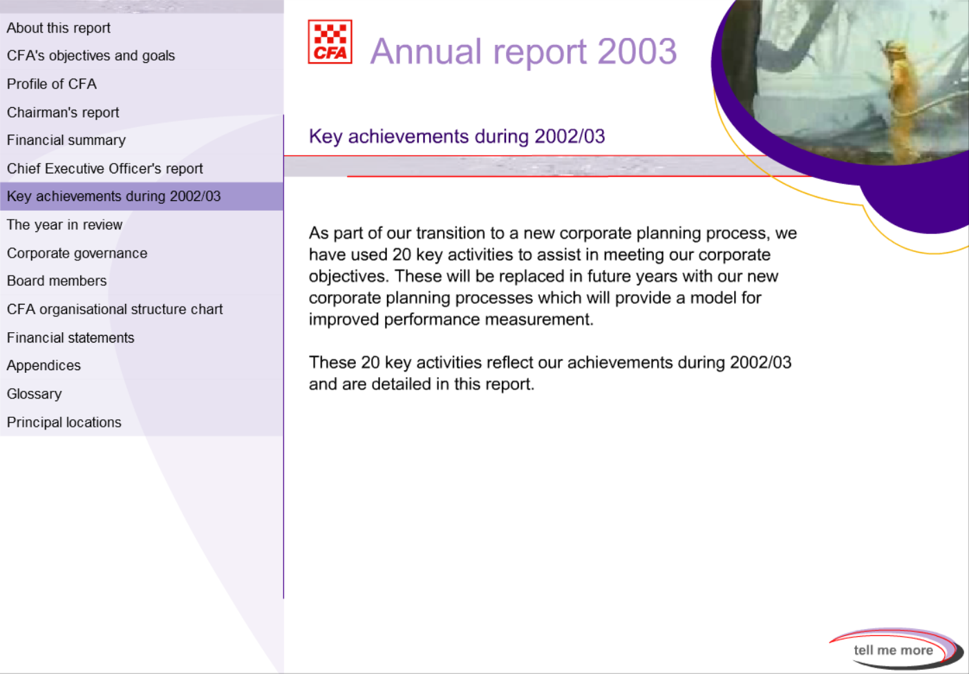 CFA Annual Report 2003