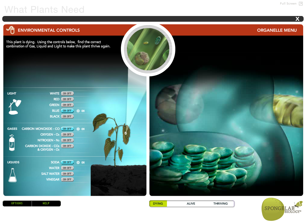 What Plants Need Game