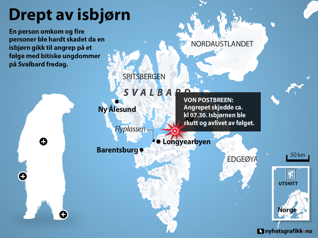 Drept av isbjørn