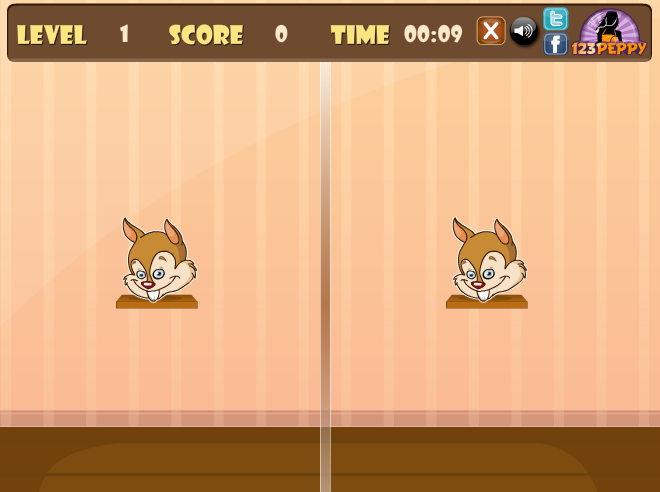 Animals Mirror Match