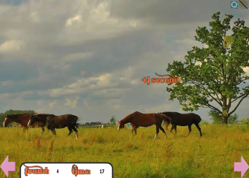 Hidden Rings: Horses