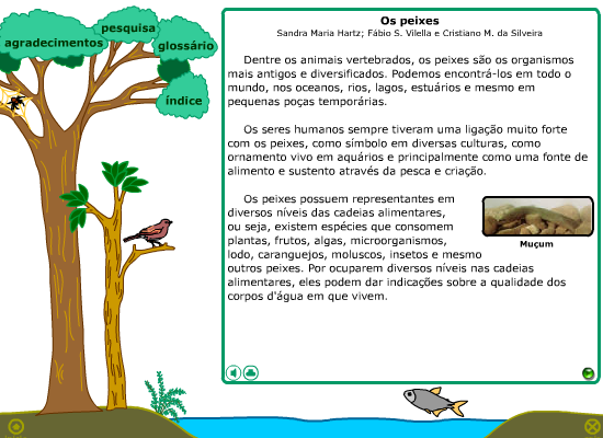Análise ambiental da sub-bacia hidrográfica do arroio Itapuã