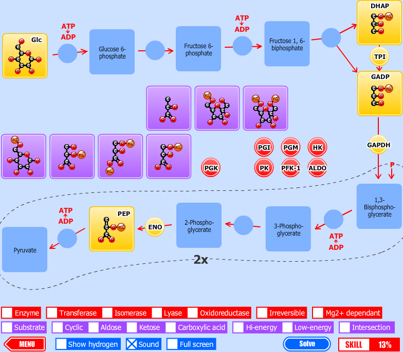 Glycolysis Match Game