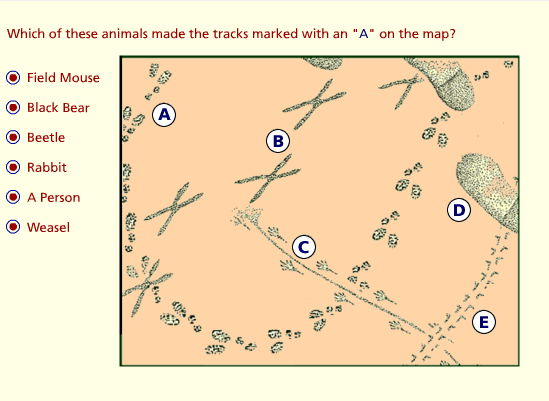 Tracking at White Sands