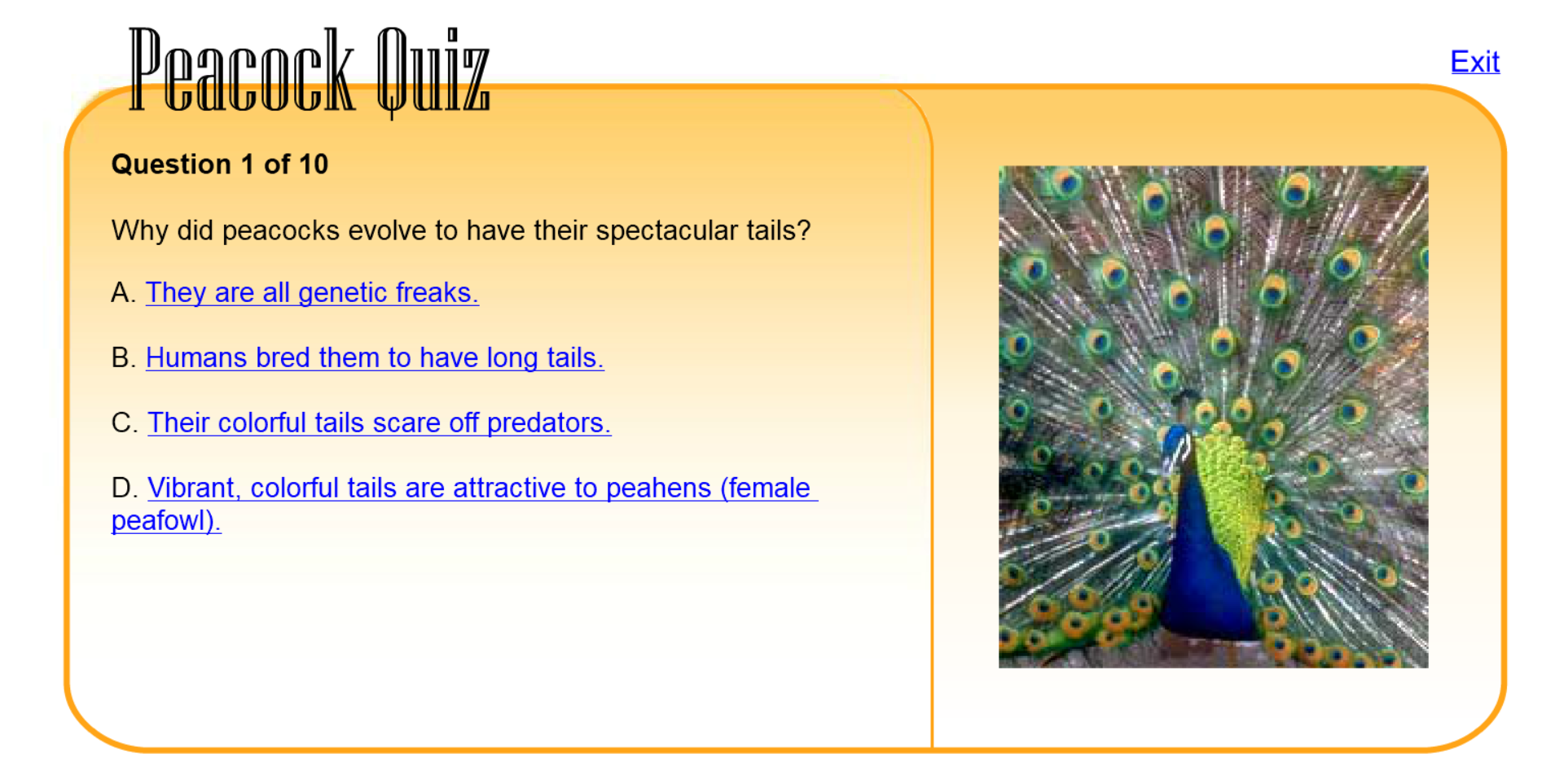 Peacock Quiz