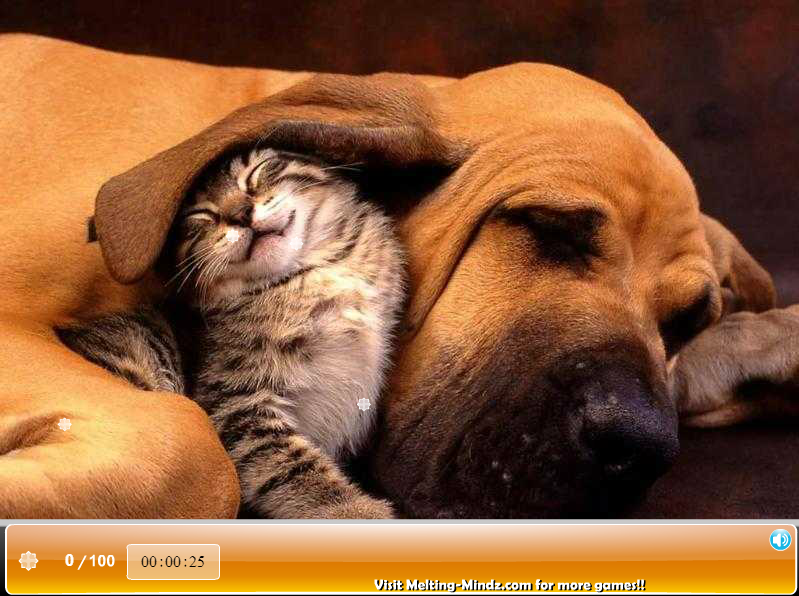 Super Sneaky Spy Guy: Crystal Hunter: Funny Animals