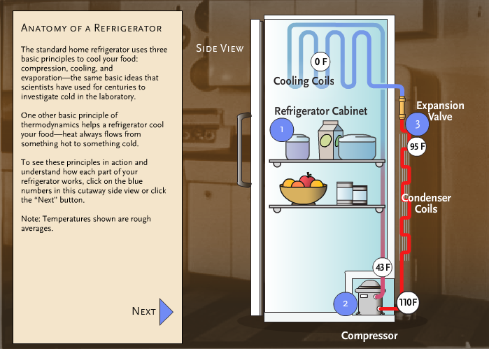 Anatomy of a Refrigerator