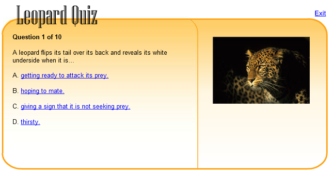 Leopard Quiz