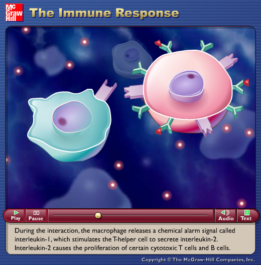 The Immune Response